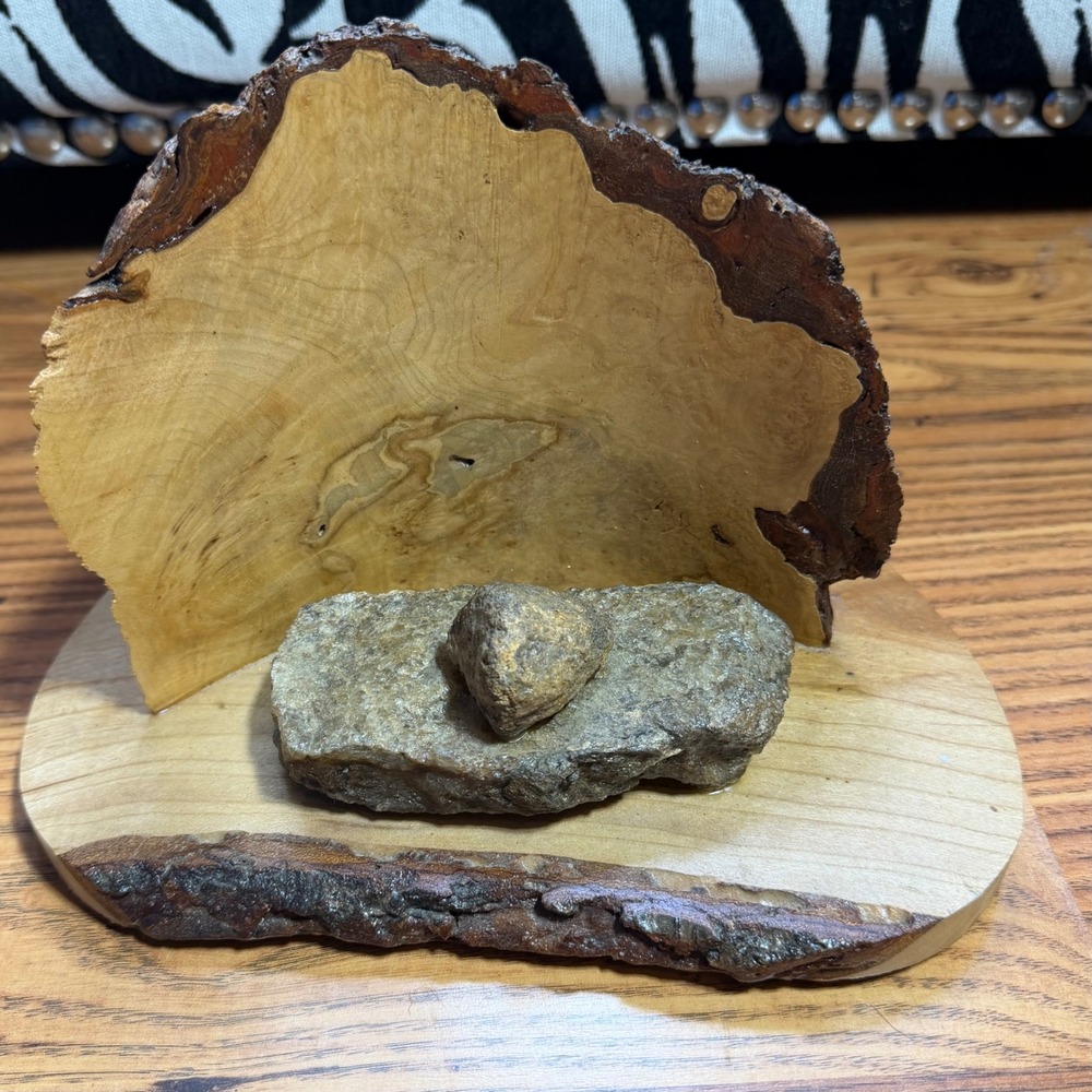 Handcrafted Live Edge Burl Wood and Stone Tabletop Sculpture Rustic Nature Decor
